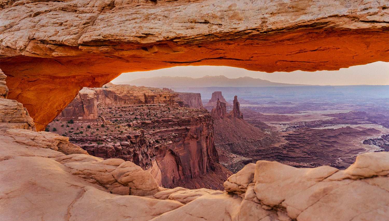 Canyon Viewpoint