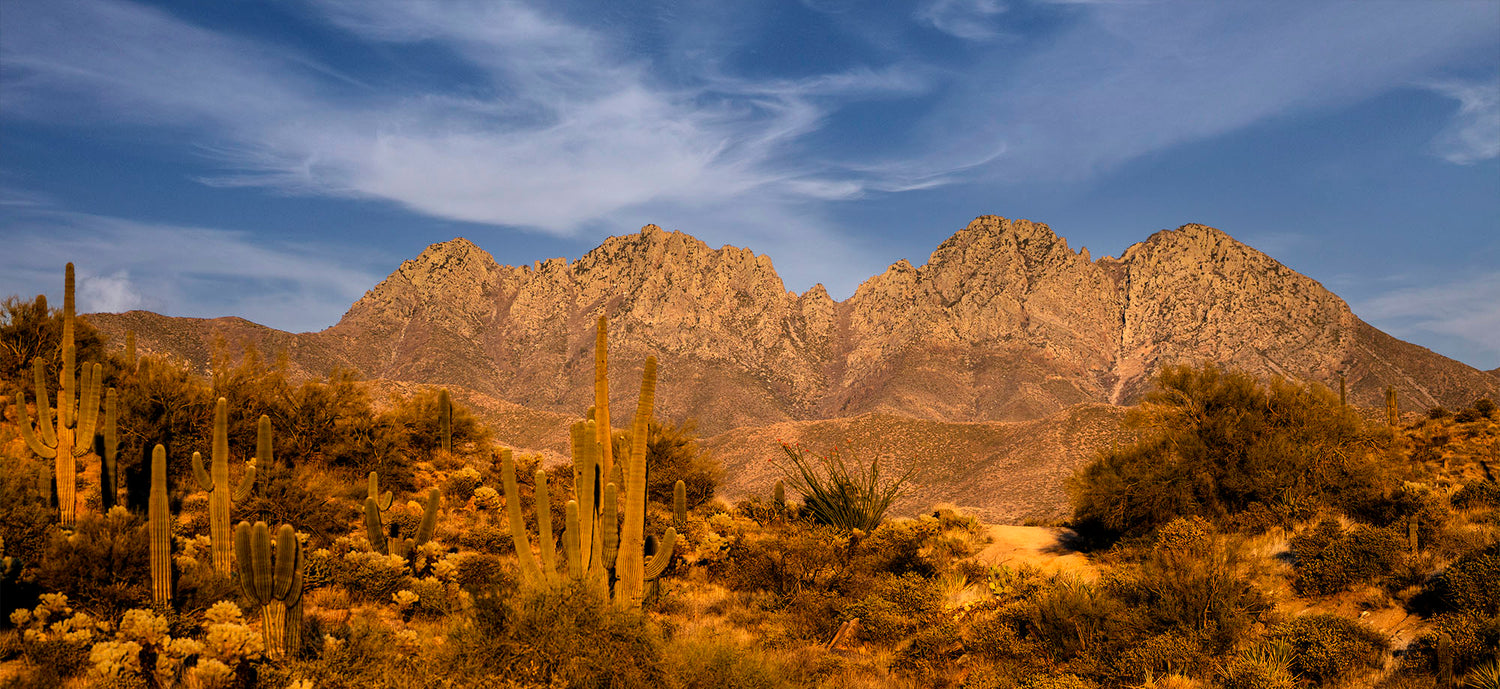 Four Peaks Desertscape
