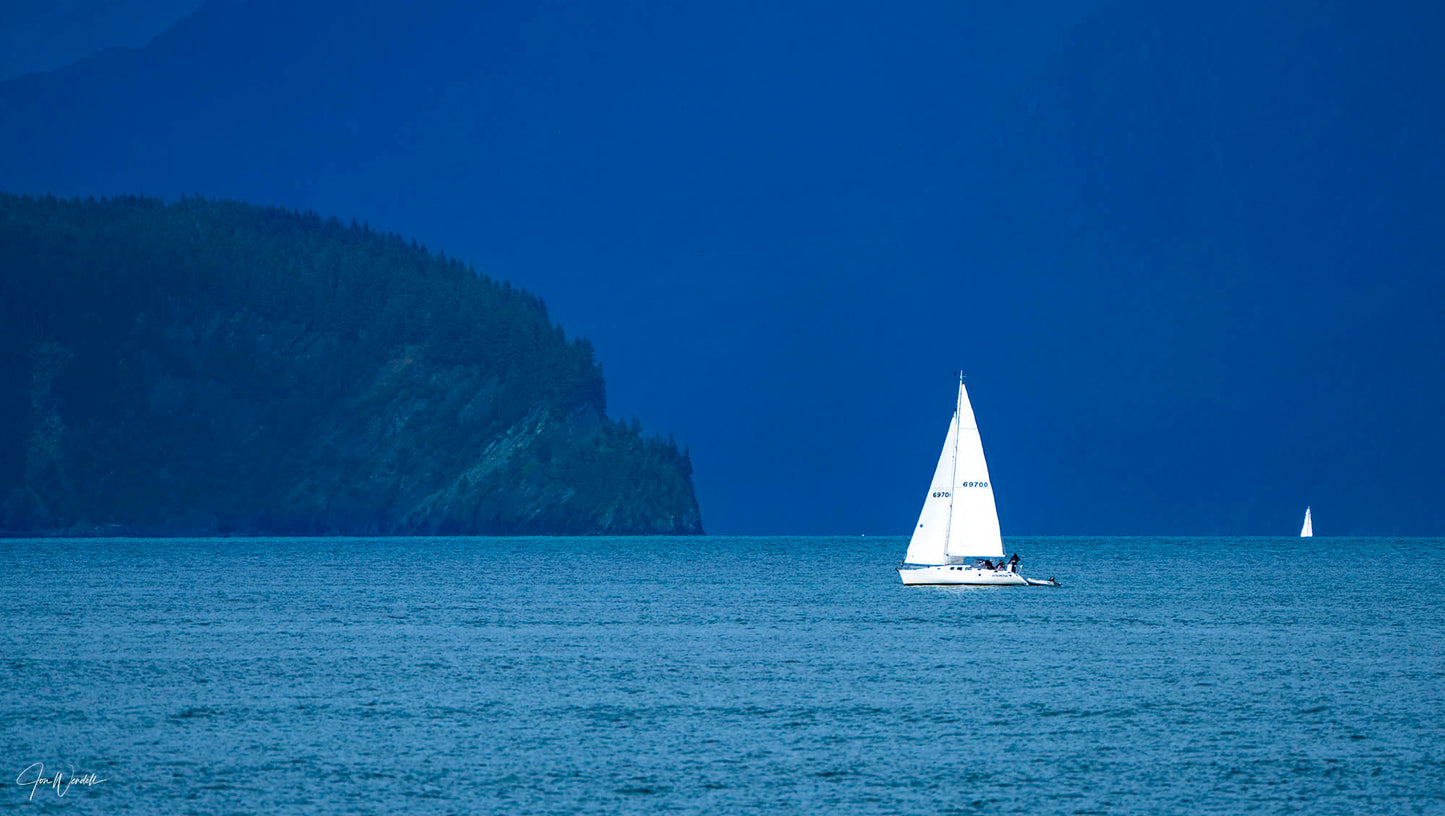 Resurrection Bay Sailing