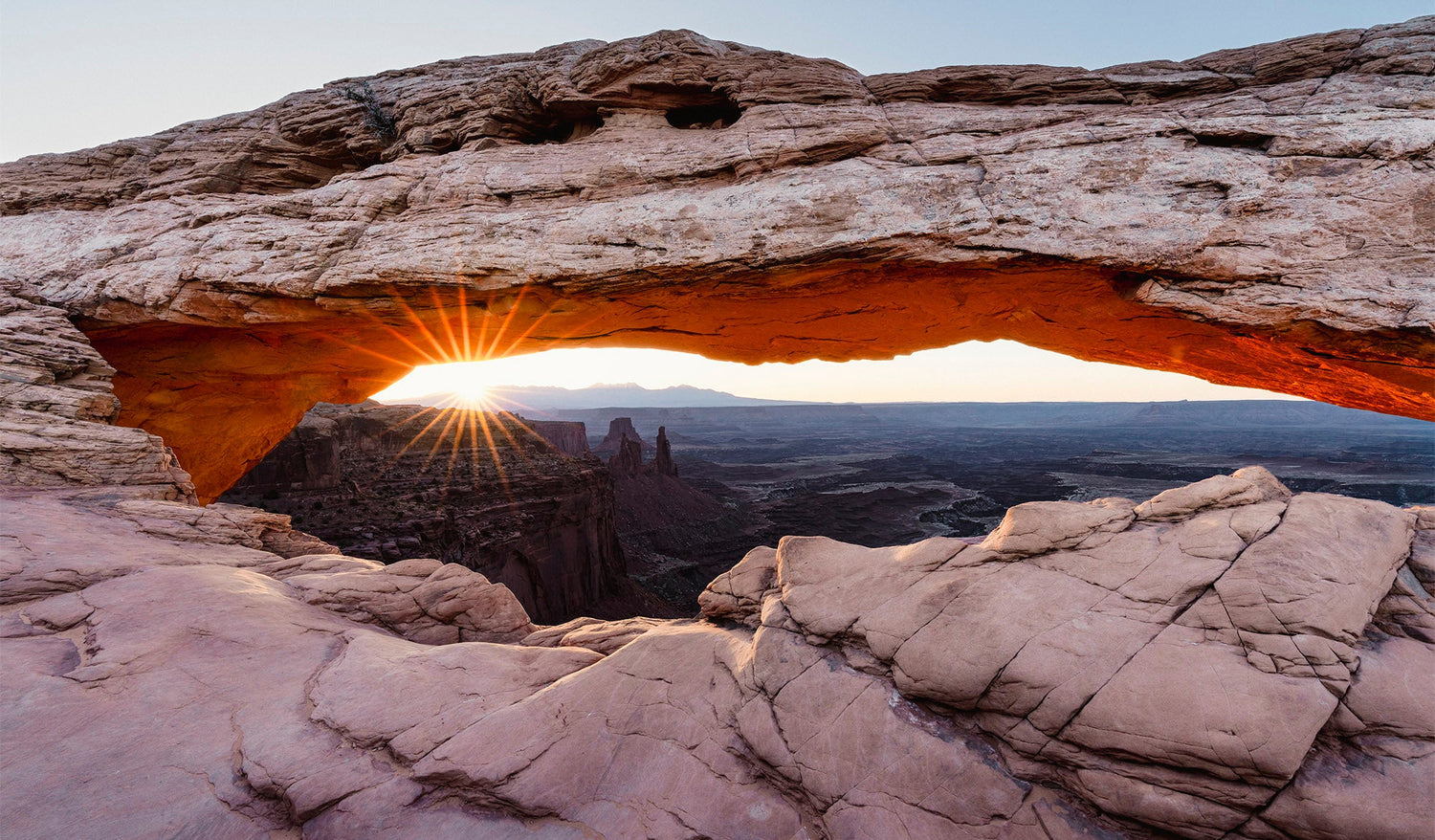 Sunrise Sunburst